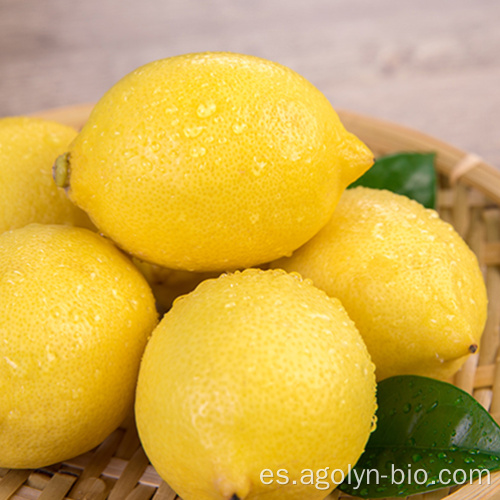 Venta al por mayor en stock Fresh Lemons